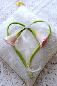 Die Callasblüte in zarten Farben und Formen ideal für die Hochzeitsdekoration.© Blumenbüro Holland